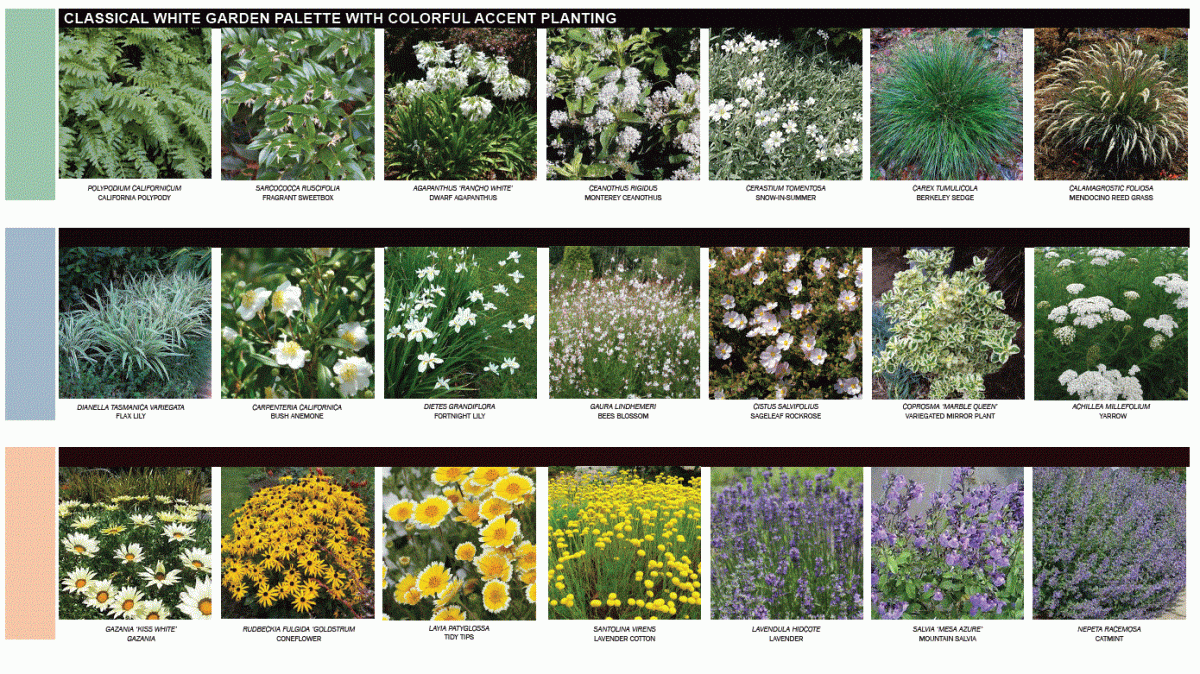 Plant pallete selection