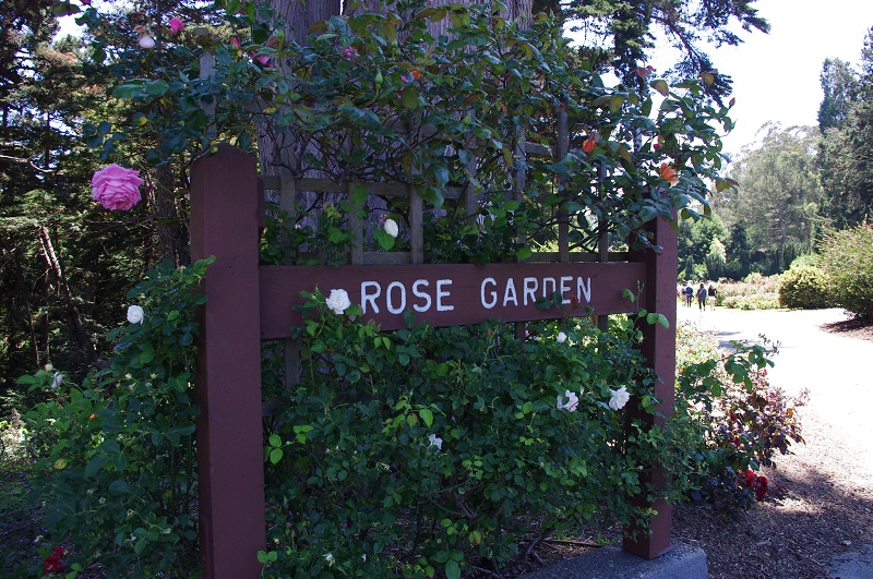 Rose Garden GGP