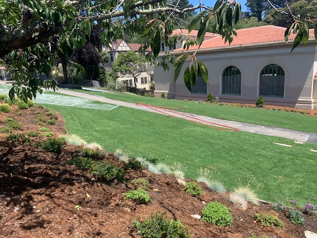 Forrest Hill Station with new sod and irrigation system