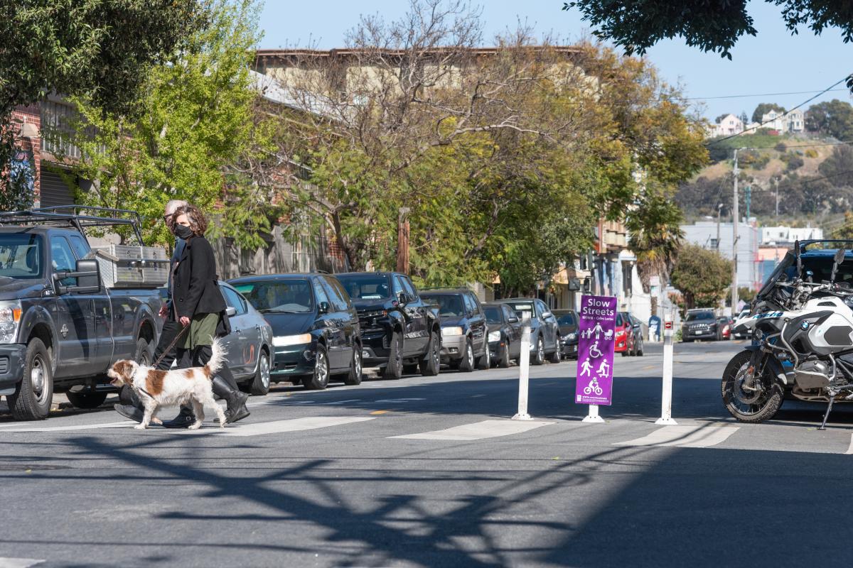 Two people, one female-presenting and one male-presenting, walk their medium-sized dog across Shotwell Slow Street. The purple Slow Street sign, along with two diverter posts, is affixed to the roadway on the right side.