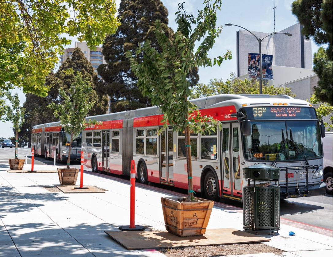 Photo:  38R Geary Rapid passing (before) new trees along Geary Boulevard at Laguna.  