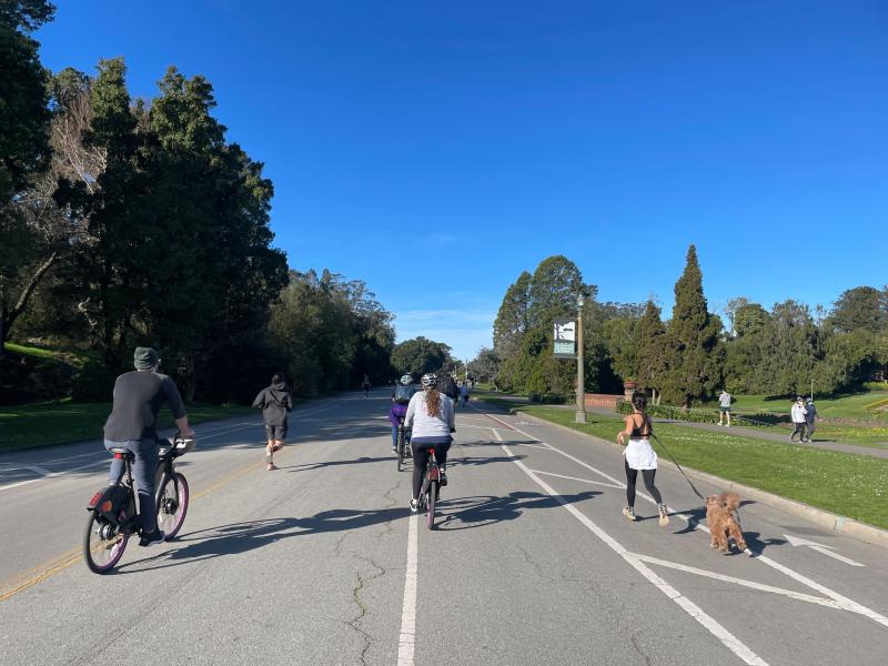 Golden Gate Park: Spring 2022 Update