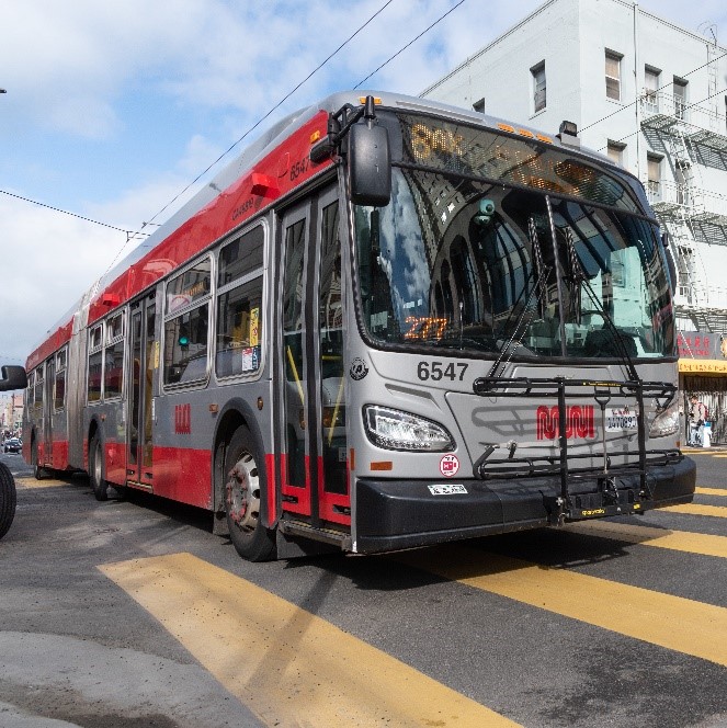 Photo showing an 8AX Bayshore Express articulated Muni bus on the road