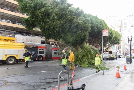 A fallen tree on top of a bus with emergency workers and trucks on the street