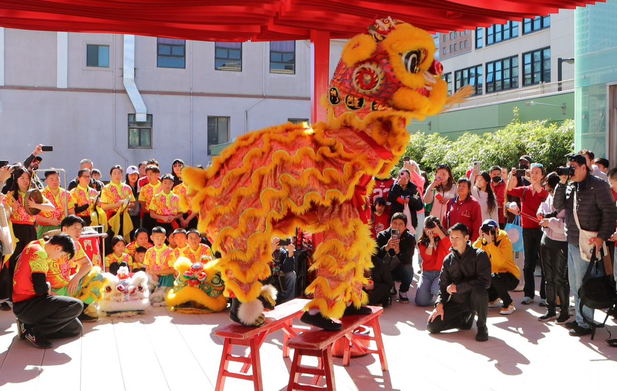  Lion dance performance with colorful costumes and props, captivating the audience's attention.