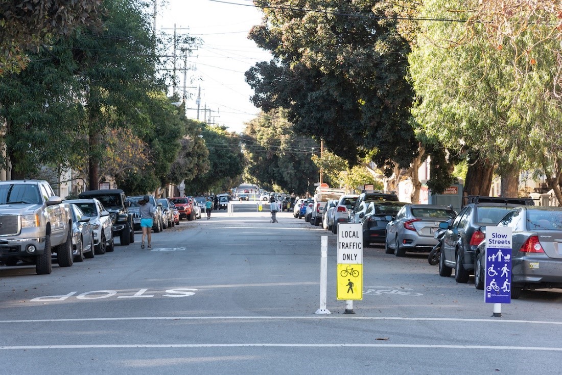 People walk up and down a street that is lined with trees and cars on both sides with signs that read local traffic only..