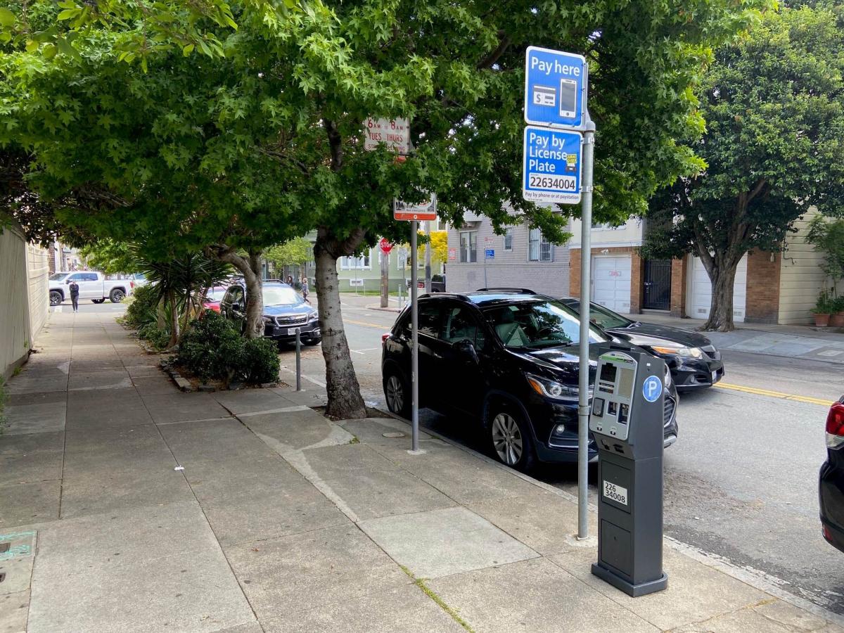 Pay by plate meter on a San Francisco tree-lined street