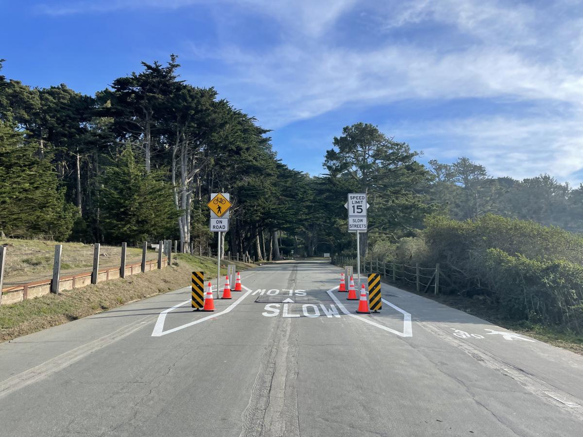 Image of Roadway with paint and vertical elements used to narrow roadway. 