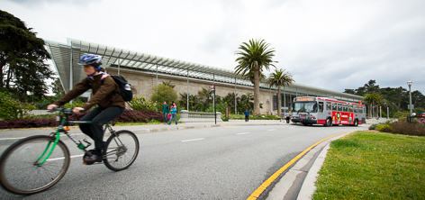 A cyclist and a Muni bus pass in front of the California Academy of Sciences.