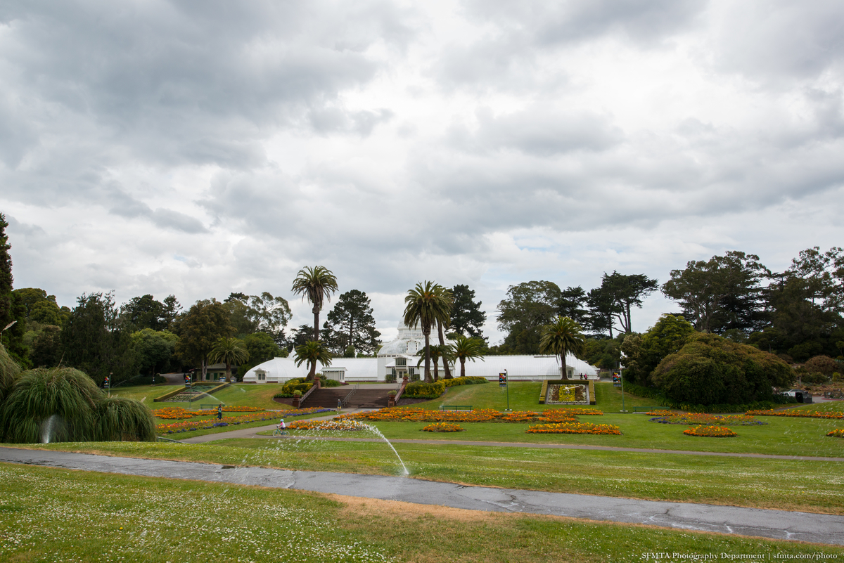 Looking west from in front of the Conservatory of Flowers