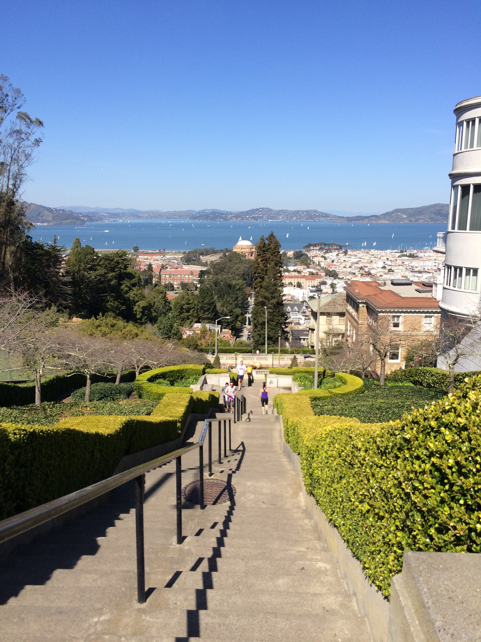 Runners climb a long set of steep concrete steps surrounded by lush gardens and looking out over San Francisco Bay with a bright blue sky above.