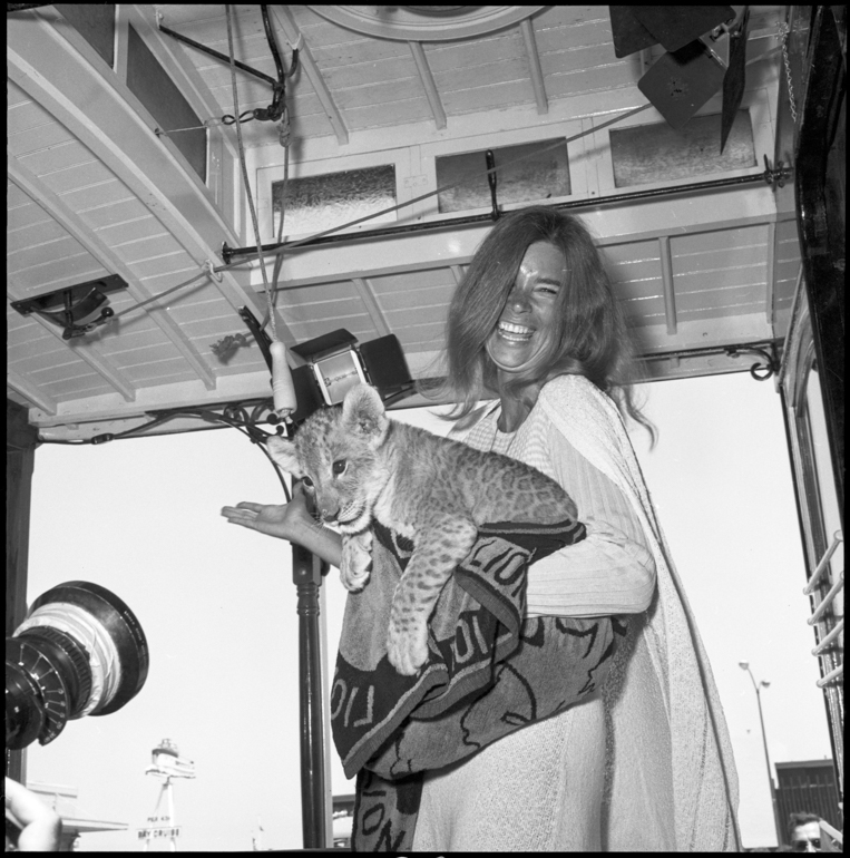 Black and white photo of a woman holding a lion cub in a blanket while ringing the bell on a cable car.  Taken June 5, 1972
