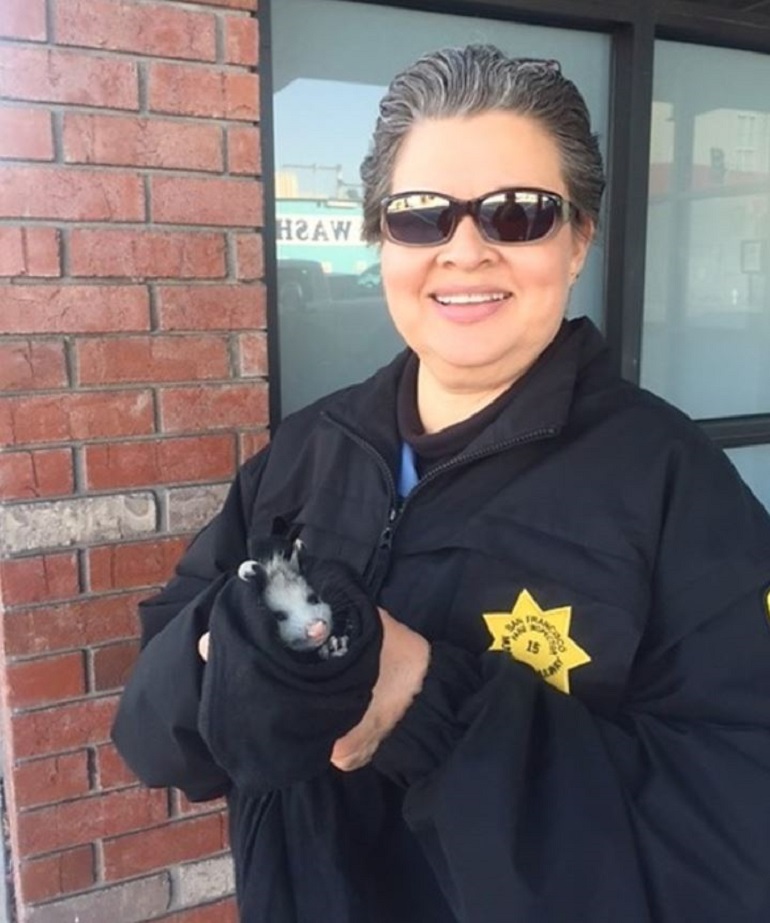 Woman in a dark fare inspector jacket and sunglasses holds a small opossum in a dark cloth.