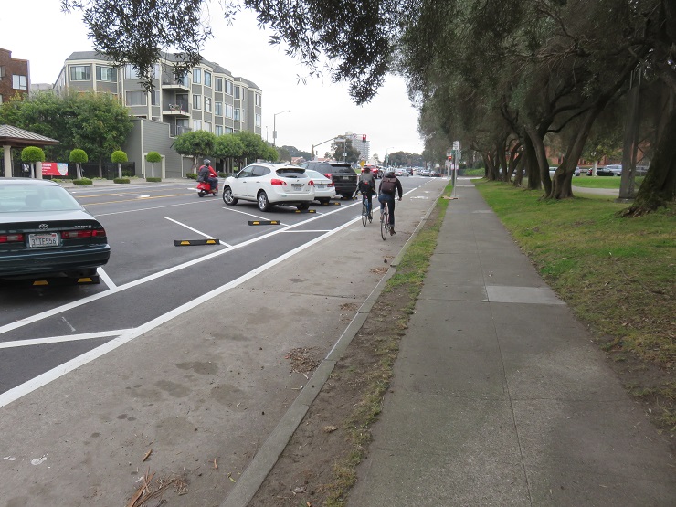 Two bicyclists travel down a bike lane with angled cars parked on the left and large trees overhaning the street from the right. A gray apartment building is in the background.