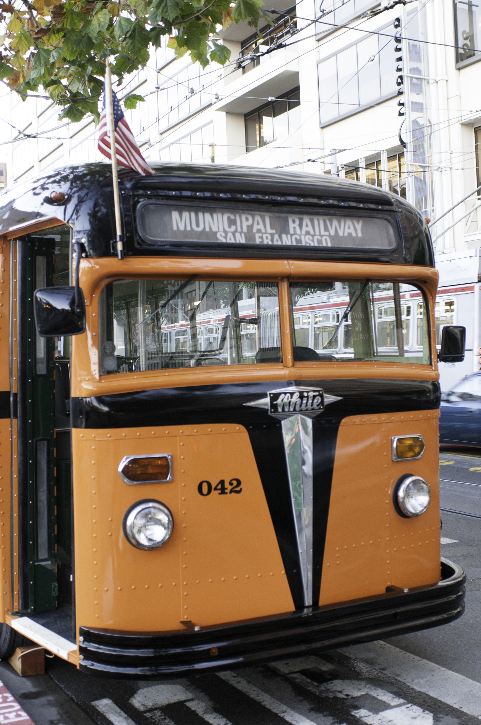 Orange and black face of vintage White bus 042 sits under a sycamore tree on Steuart Street