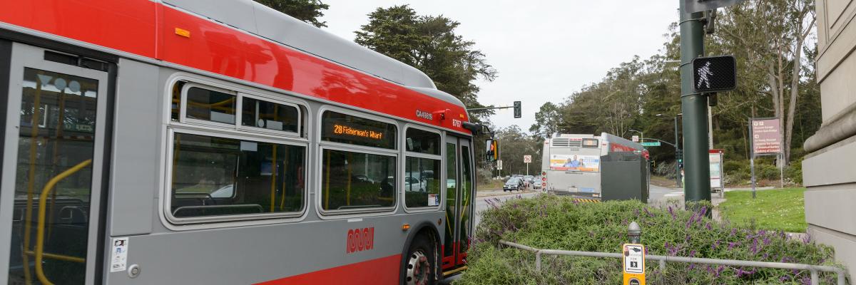 Two buses entering Golden Gate Park. Muni will increase service to support Hardly Strictly Bluegrass