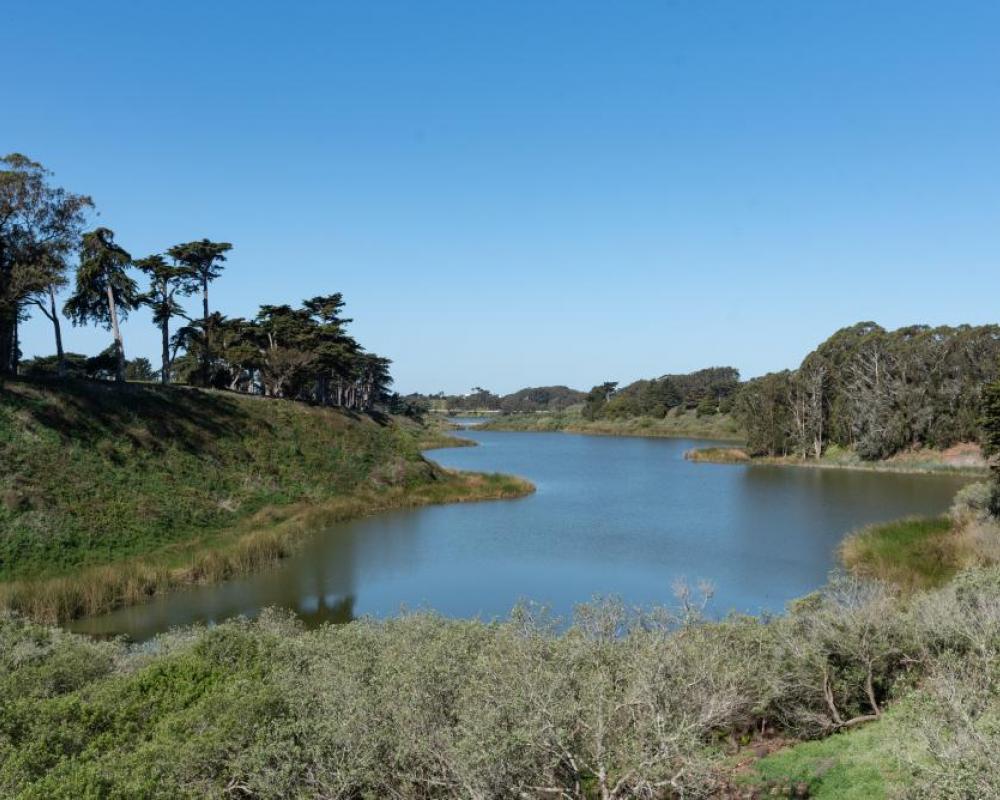 Lake Merced