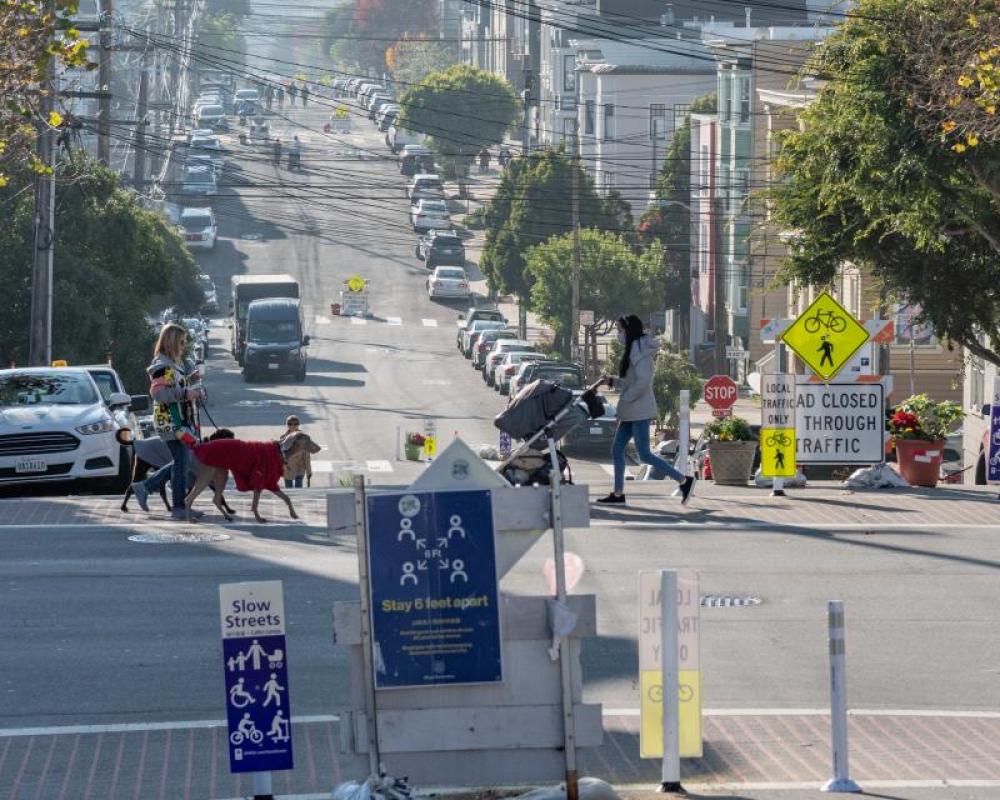 On Sanchez Slow Street, a woman walks her dogs; another person crosses pushing a stroller