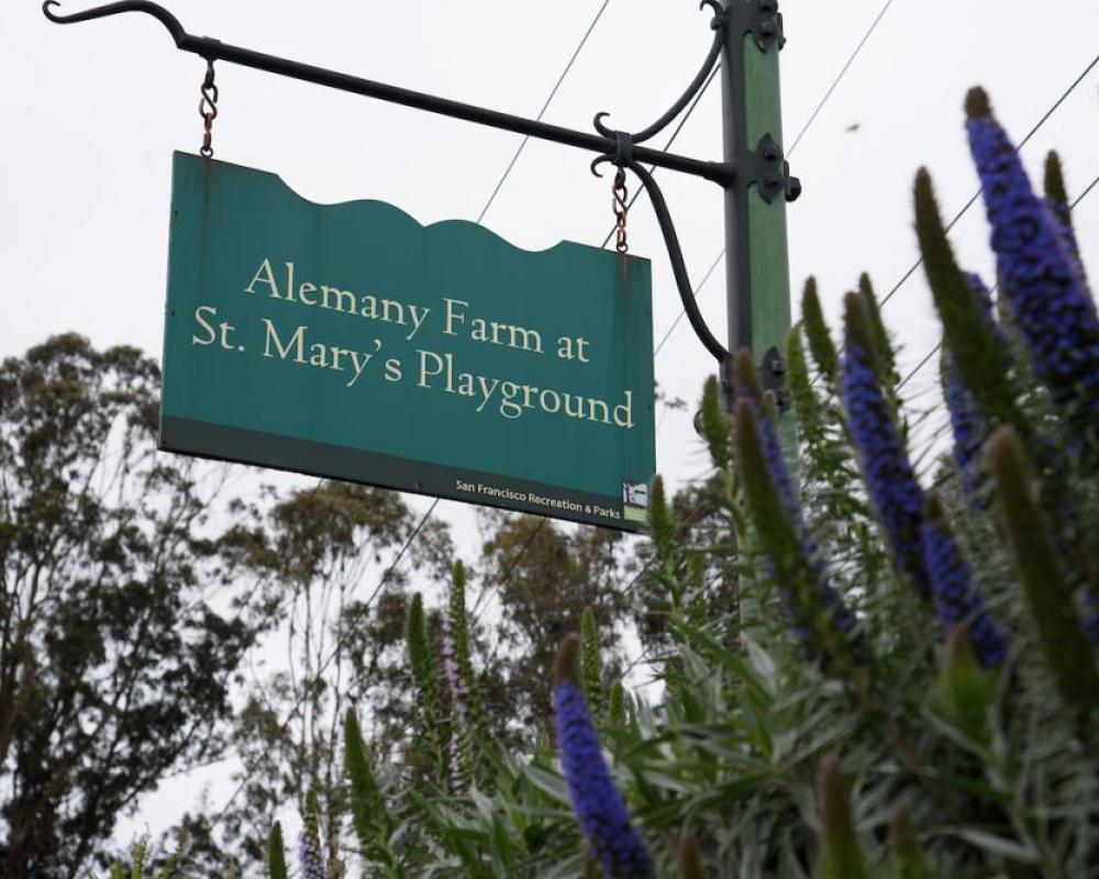 Alemany Farm at St. Mary's Playground