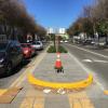 New Octavia Boulevard Median between Oak and Fell streets