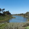 Lake Merced