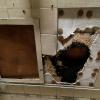 Crumbling ceilings inside Presidio Yard