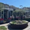 Person boarding train near large sidewalk planters and benches. 