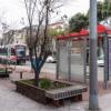 Planters that have benches built in with trees near a transit shelter. 