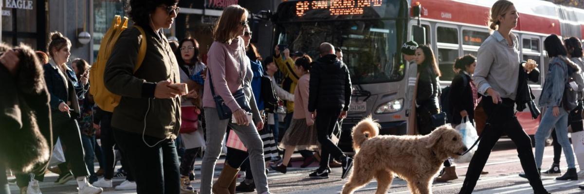 Lots of people and a dog crossing Market Street near Powell Street with a 9R Muni Bus waiting at the crosswalk