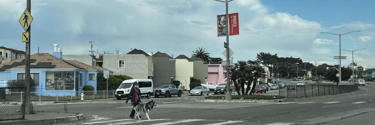 A pedestrian crosses Sloat Blvd with their dog.
