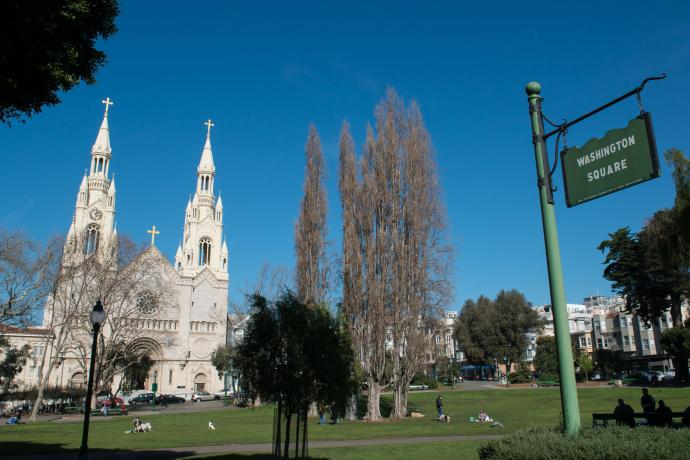 view of washington square park and church in north beach