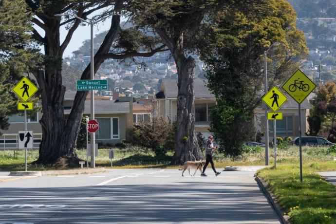 Pedestrian walking on Lake Merced and Sunset