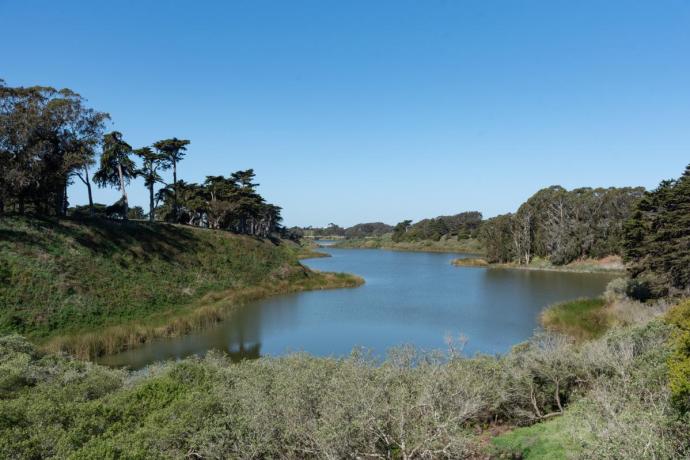 Lake Merced