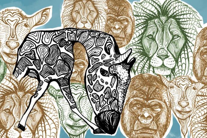 Line art flowing of faces of gorillas lions and goats in shades of brown and green, one full giraffe stands out amongst the rest