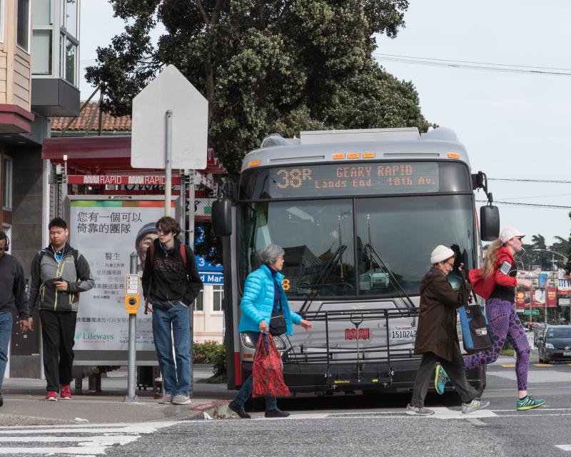 Pedestrian Program