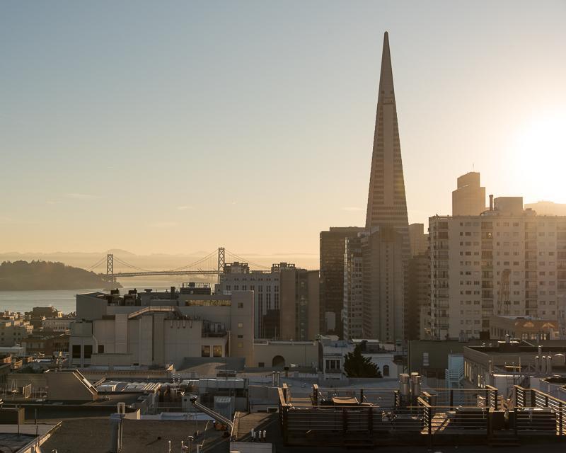 Picture of SF Skyline