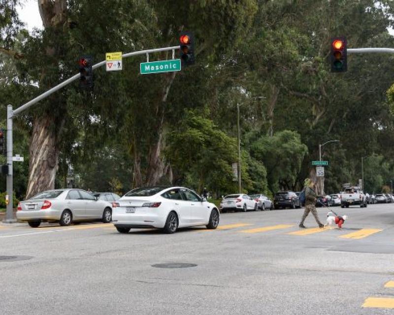 Person dog crossing oak street in crosswalk at masonic street, 2 vehicles pass behind the pedestrian.