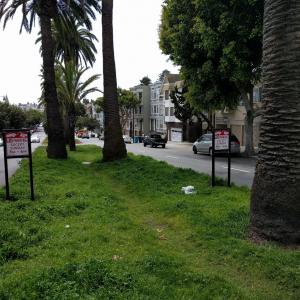 Dolores Street Median with parking signs