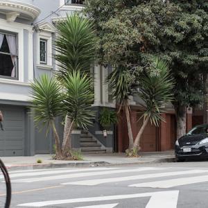 Photo of person biking in Wiggle with ped and dog crossing the street