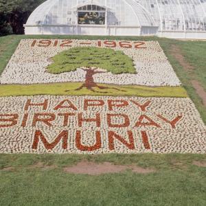 bed of succulent plants spelling "happy birthday muni"