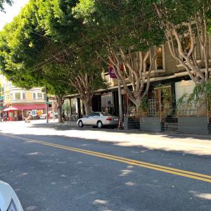 Hayes Valley Parking & Curb Management Plan