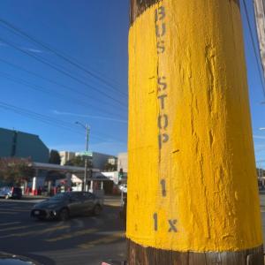 Photo showing a pole on the street painted yellow that says bus stop, 1, 1X