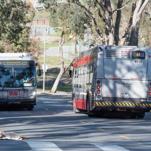 Two buses are side by side traveling in the opposite directions on a street lined with trees. 