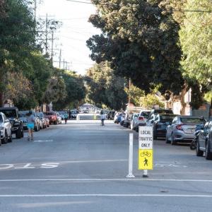 People walk on the street with trees and cars lining each side and signs in the middle of the street that say Local Traffic Only
