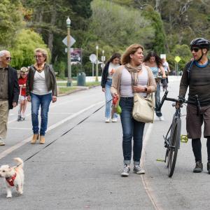A group of people walking towards the camera on a tree-lined street. One person is walking a dog and another person with a bijke